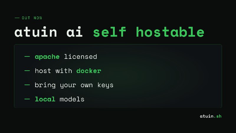 Open Sourcing the Atuin AI Server