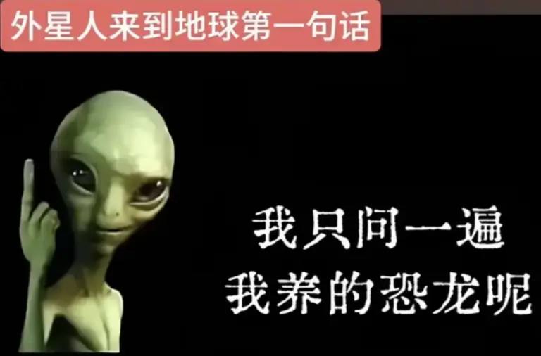 哈哈哈哈 这合理吗